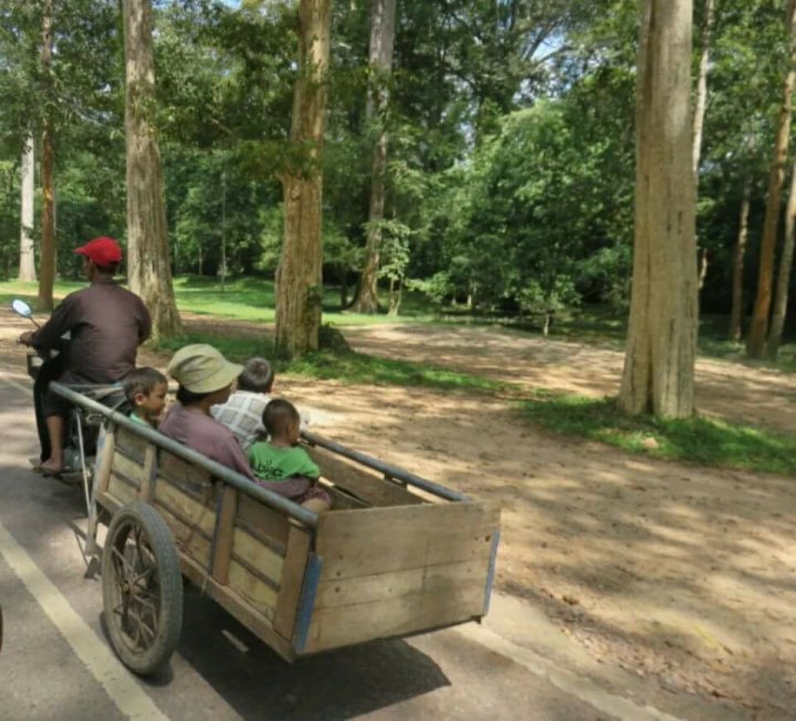 ילדים בקמבודיה סיאם ריפ, טיול בקמבודיה, טיול למזרח, ילדים, פאב סטריט, siem reap, cambodia, travel alone, beer