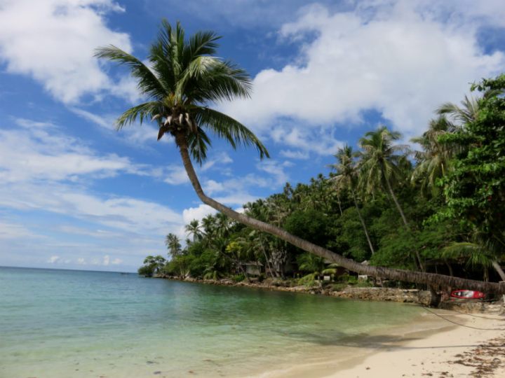 טיול לתאינד, קופנגן, PALM TREES, בטן גב, סיוון סטרומזה, חופשה