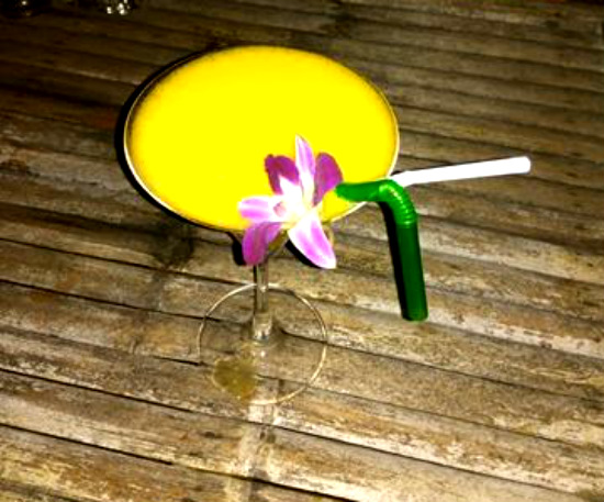 סיוון סטרומזה, חיפוש עבודה, אופטימיות, מרגריטה, קוקטיילים, תאילנד