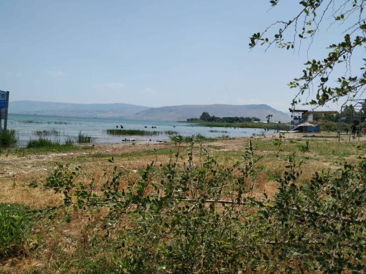 62609239_633576740489768_7016210565601165312_n