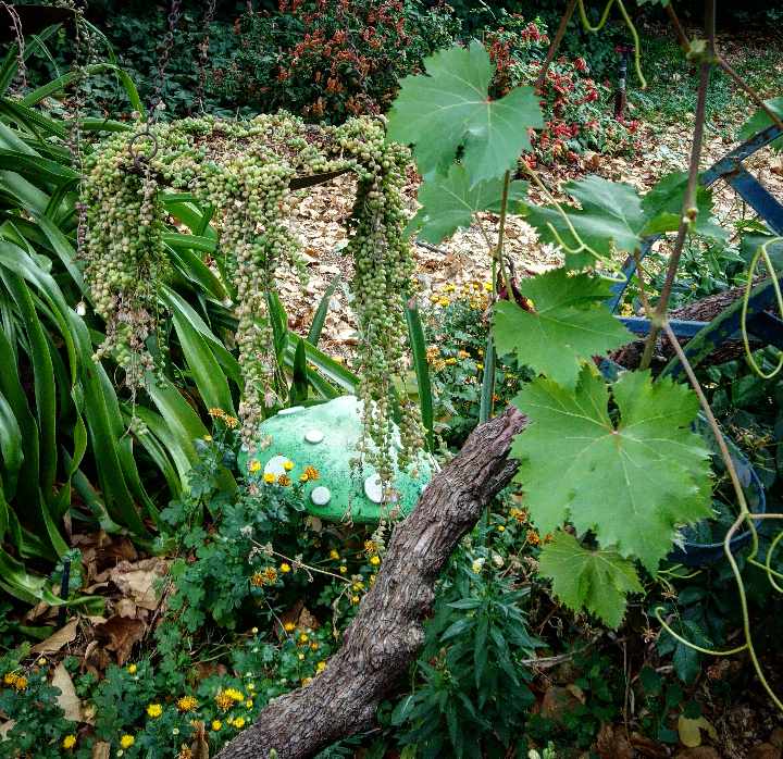 63619935_2329492370444481_4191315772208840704_n