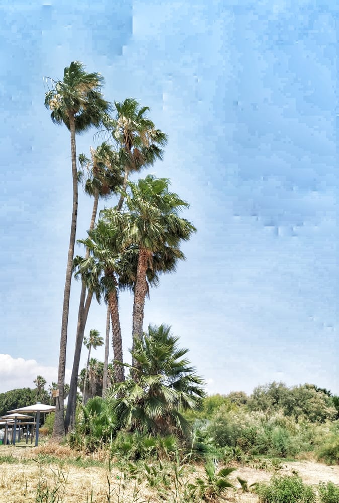 64390142_333474783991018_2994300252145582080_n